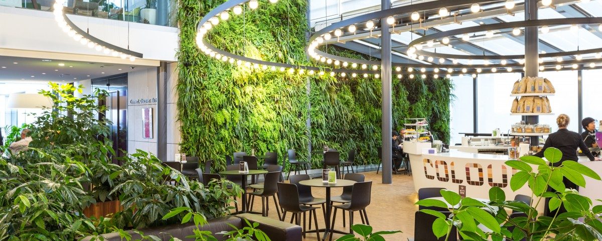 biophilic design