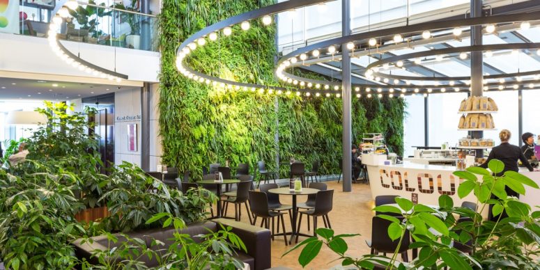 biophilic design in een kantooromgeving